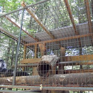 7/13/2016 - Binturong Cage (Top Half)