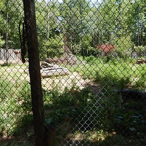 7/13/2016 - Wolf Habitat #1
