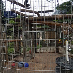 7/13/2016 - Japanese Macaque Corn Crib Cage