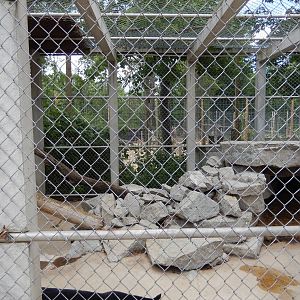 7/13/2016 - Panther Cage