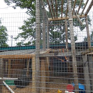 7/13/2016 - Chimpanzee Cage