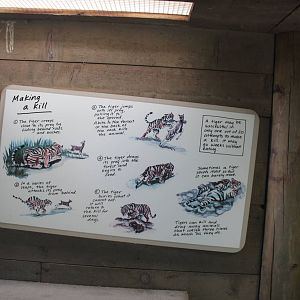 Jul. 2016 - Indonesian Rain Forest - Straight Out of ZooBooks