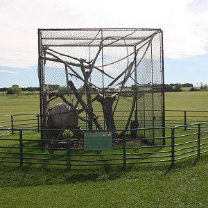 Raccoon Exhibit (currently empty)