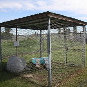 Red-Eared Slider Exhibit