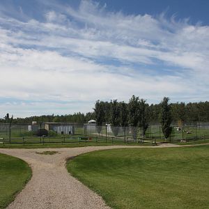 Carnivore Complex (6 Exhibits)