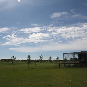 Serval Exhibit + Surrounding Lawn