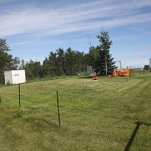 American Black Bear Presentation Area