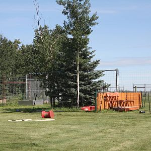 American Black Bear Presentation Area