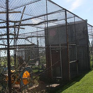 Japanese Macaque Exhibits (two cages)
