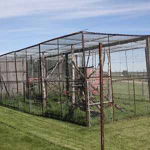 Japanese Macaque Exhibits (two cages)