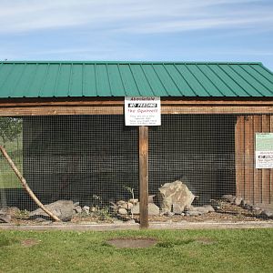 European Red Squirrel Exhibit