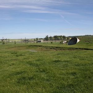 White-Tailed Deer Exhibit