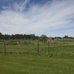 Kodiak Bear Exhibit #1