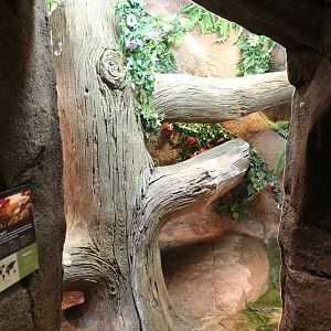 Enclosure Reticulated python