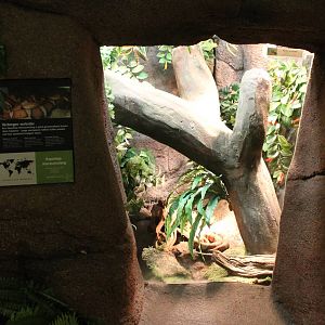 Enclosure Copperhead