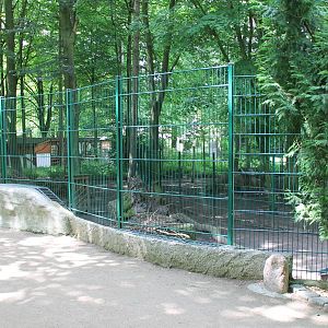 Enclosure Alpine chamois