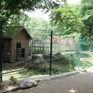 Enclosure Alpine chamois