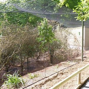 New Lemur house and enclosure, July 2016
