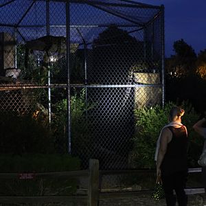 Night Zoo, July 19, 2016