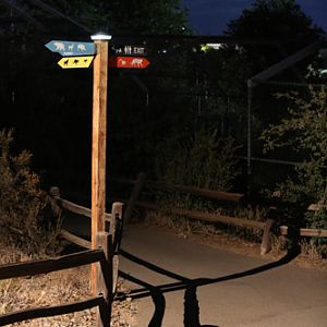 Night Zoo, July 19, 2016