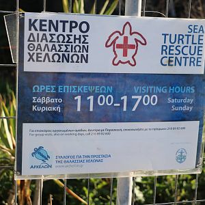 Opening hours - Sea Turtle Rescue Centre, February 2016