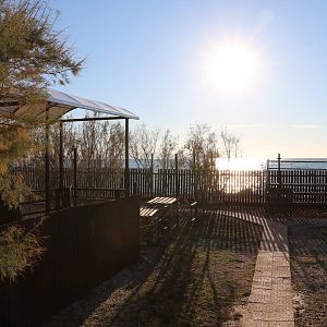 Garden - Sea Turtle Rescue Centre, February 2016