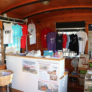 Shop/ ticket desk- Sea Turtle Rescue Centre, February 2016