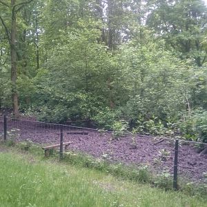 Part Wild boar enclosure