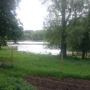 Pere Davids deer enclosure