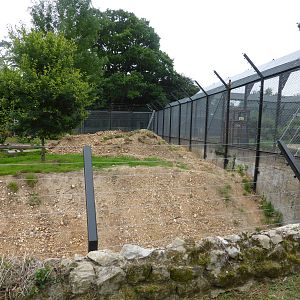 New snow leopard enclosure