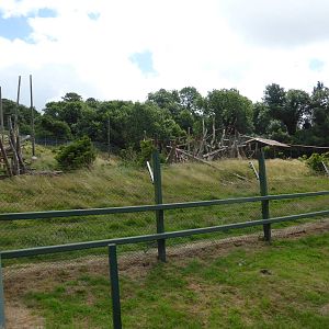 Spectacled bear enclosure