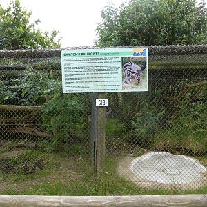 Owston's palm civet enclosures