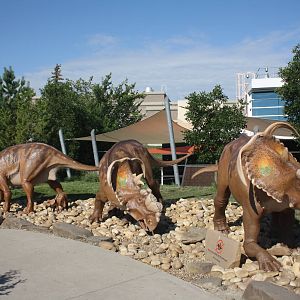 Royal Tyrrell Museum - Entrance Dinosaurs
