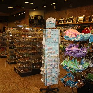 Royal Tyrrell Museum - Gift Shop (right-hand side)