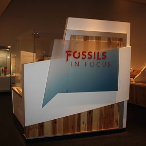 Royal Tyrrell Museum - Fossils in Focus Room