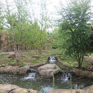 Jul. 2016 - Africa - African Painted Dog Exhibit