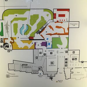Royal Tyrrell Museum - Map of Level 1
