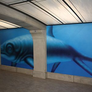 Royal Tyrrell Museum - 40-Foot Mural