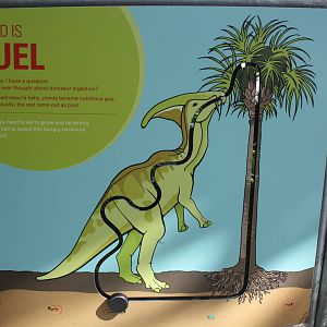 Royal Tyrrell Museum - Food is Fuel (interactive sign)