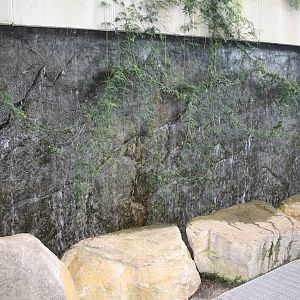 Royal Tyrrell Museum - Cretaceous Garden Water Wall