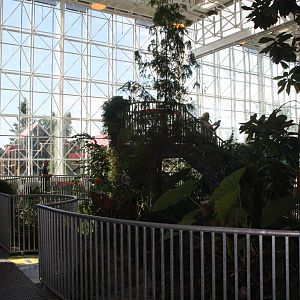 Royal Tyrrell Museum - Cretaceous Garden