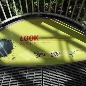 Royal Tyrrell Museum - Cretaceous Garden (look for 3 species!)