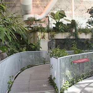 Royal Tyrrell Museum - Cretaceous Garden