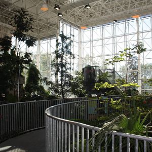 Royal Tyrrell Museum - Cretaceous Garden
