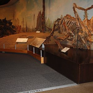 Royal Tyrrell Museum - Dinosaur Hall
