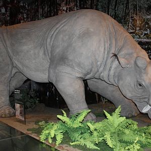Royal Tyrrell Museum - Mammal Hall (Uintatherium)