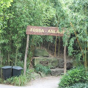 Entrance Fossa-breeding area