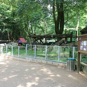 Raccoon enclosure