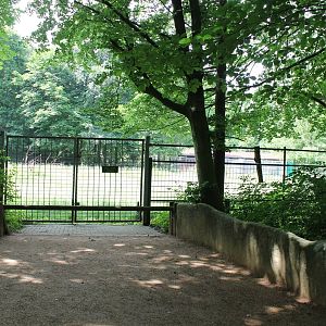 Enclosure Eurasian moose