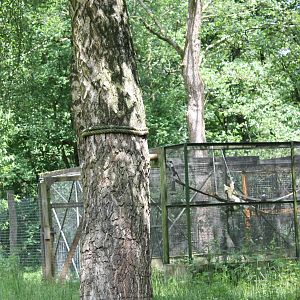 Behind the scene enclosures